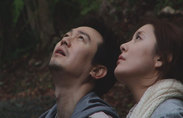 시간의 숲